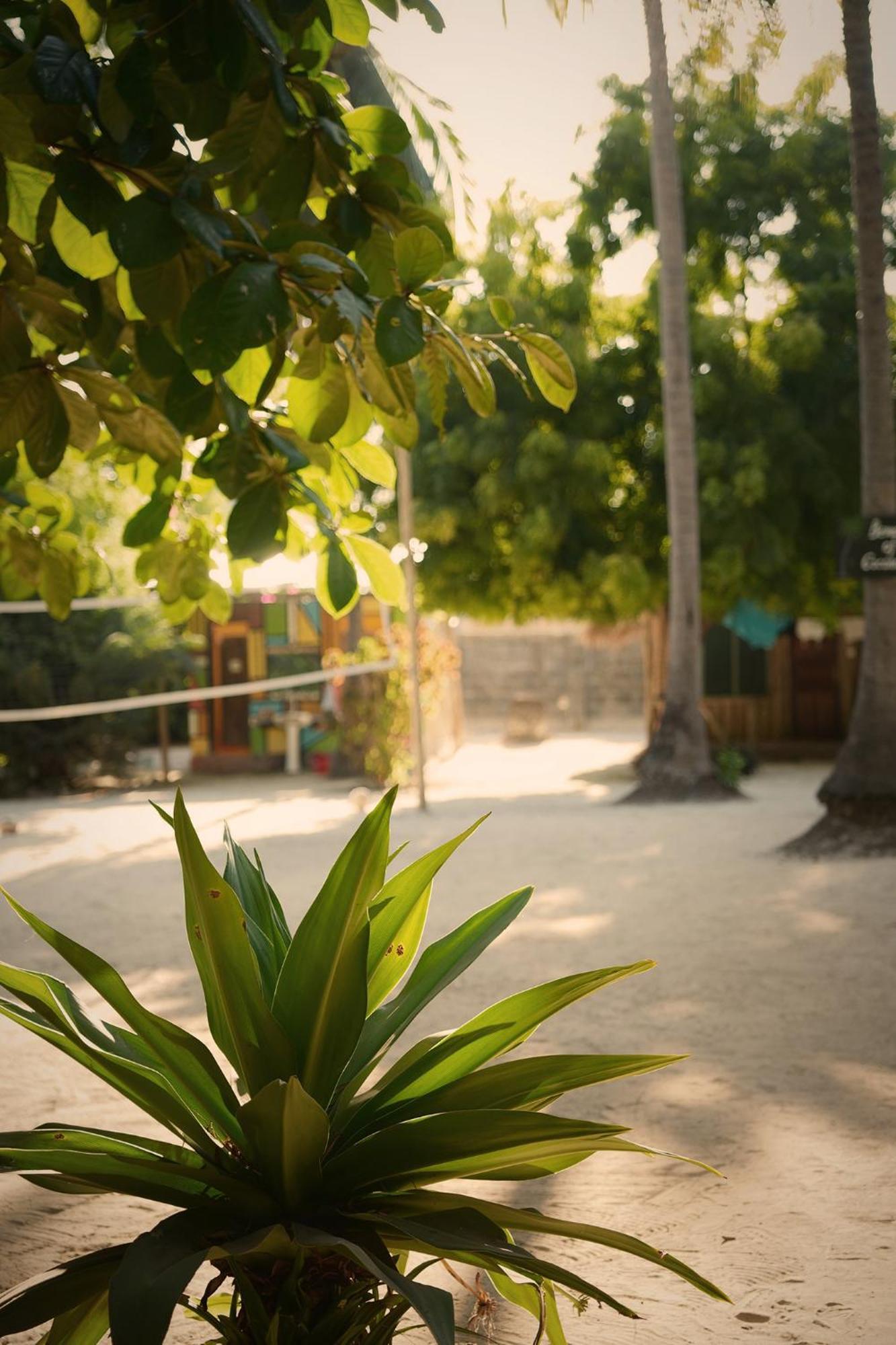 Your Zanzibar Place Ostello Paje